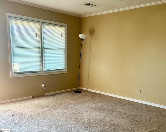 empty room with crown molding, a textured ceiling, and carpet