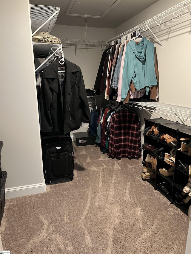 walk in closet with carpet flooring