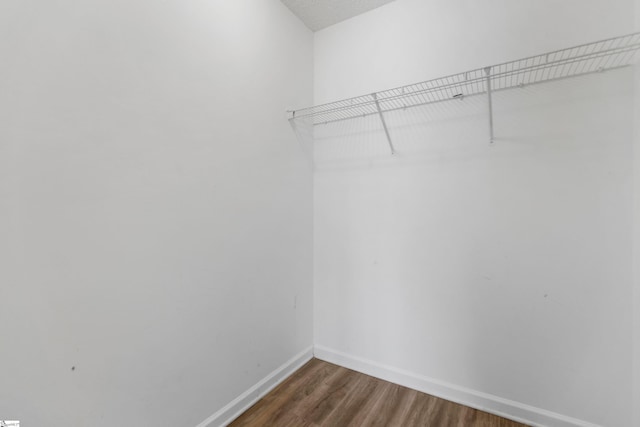 spacious closet featuring dark hardwood / wood-style floors