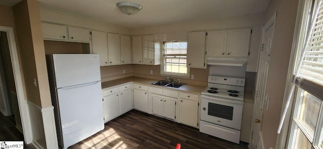 kitchen with white cabinetry, sink, white appliances, and dark hardwood / wood-style floors