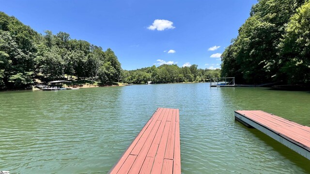 dock area with a water view