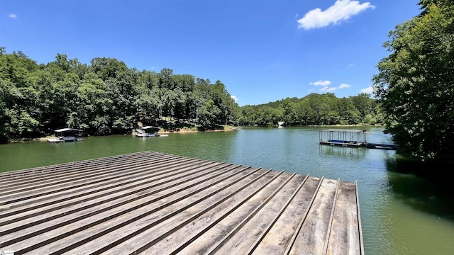 dock area with a water view and a forest view