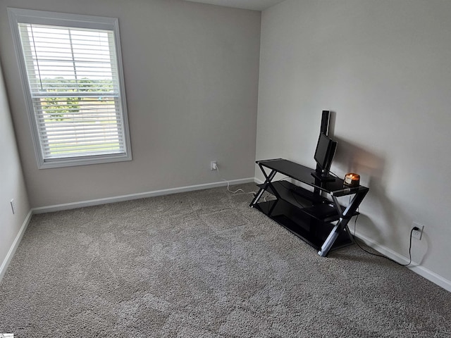 interior space with carpet flooring