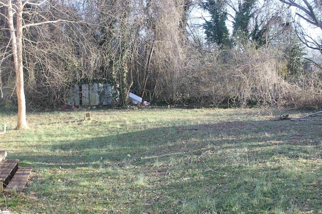 view of yard featuring a shed