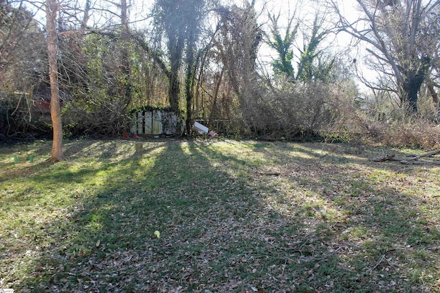 view of yard with a storage unit