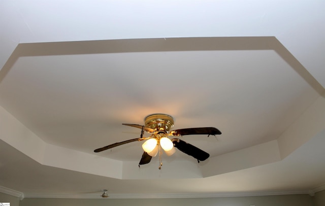 details with a tray ceiling and ornamental molding