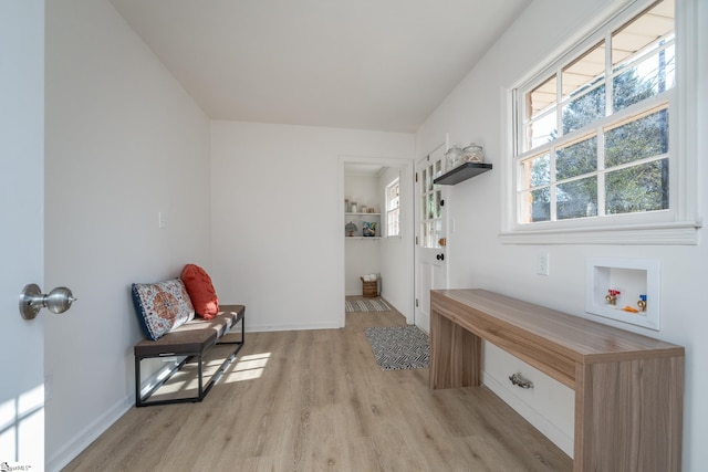 sitting room with light wood-type flooring