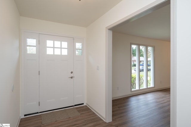 foyer entrance with dark hardwood / wood-style flooring