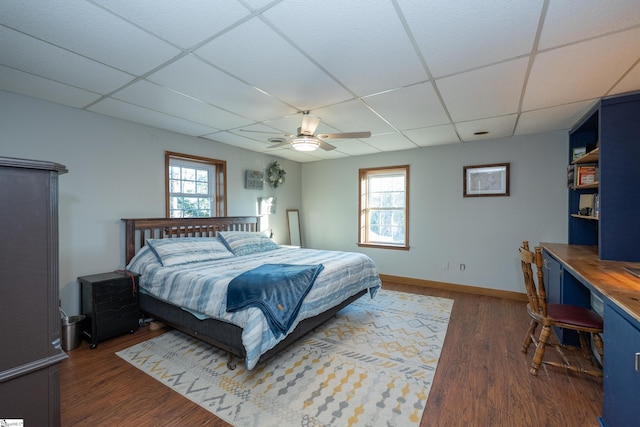 bedroom featuring ceiling fan, dark hardwood / wood-style floors, multiple windows, and a drop ceiling