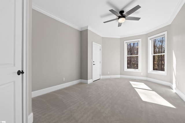 interior space featuring ceiling fan, ornamental molding, and light carpet