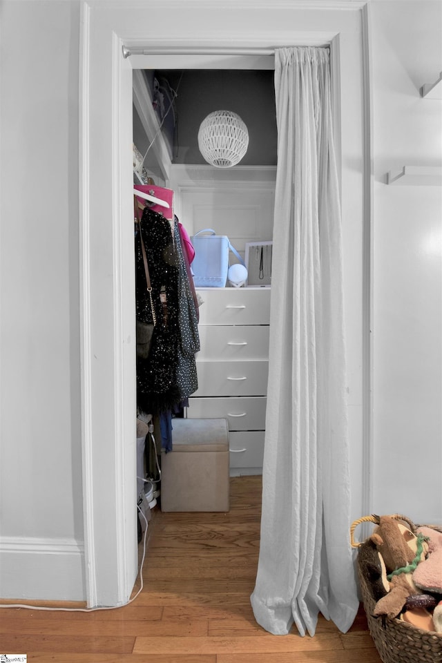 spacious closet featuring wood-type flooring