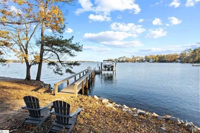 dock area with a water view