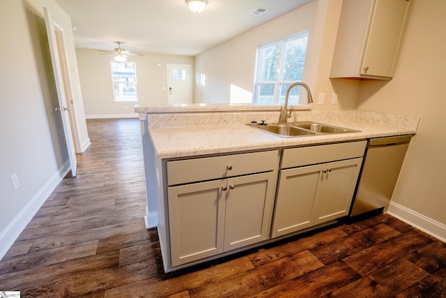 kitchen featuring sink, dishwasher, dark hardwood / wood-style flooring, and a healthy amount of sunlight