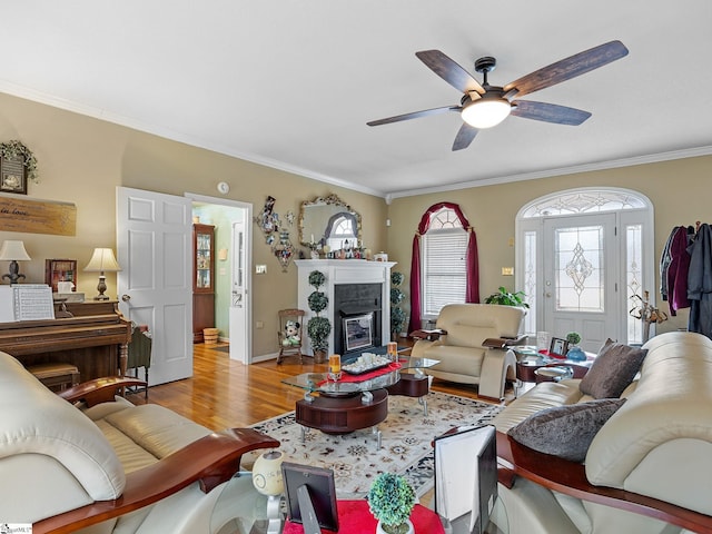 living room with a fireplace, crown molding, ceiling fan, and light wood-type flooring