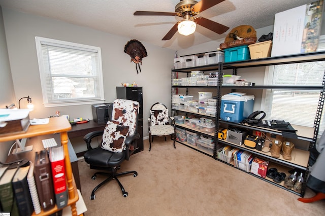 carpeted office with ceiling fan and a textured ceiling