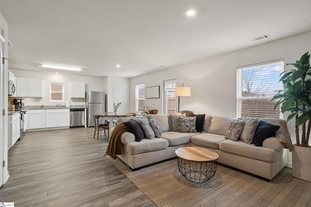 living room with light hardwood / wood-style flooring and a wealth of natural light