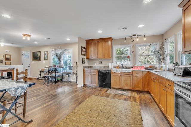 kitchen with sink, dark hardwood / wood-style floors, black dishwasher, a healthy amount of sunlight, and stainless steel electric range oven