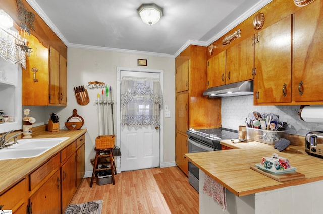 kitchen featuring sink, crown molding, tasteful backsplash, light wood-type flooring, and electric stove