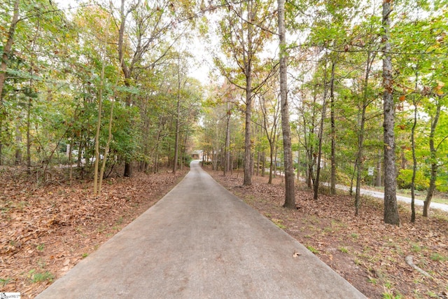 view of road