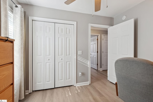 home office featuring ceiling fan and light wood-type flooring