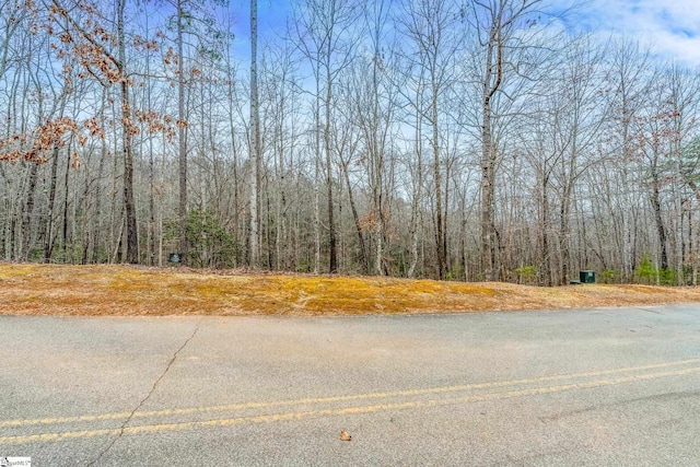 30 Lakes Edge Way, Marietta SC, 29661 land for sale