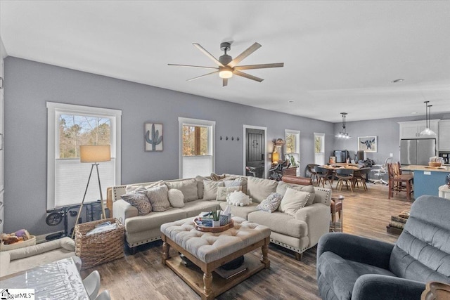 living room featuring ceiling fan and dark hardwood / wood-style floors