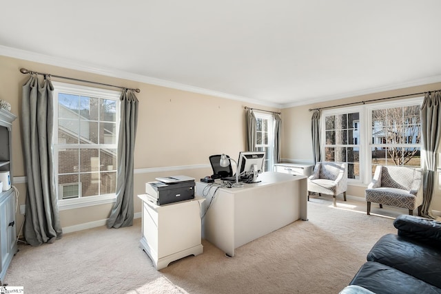 office featuring light carpet and crown molding