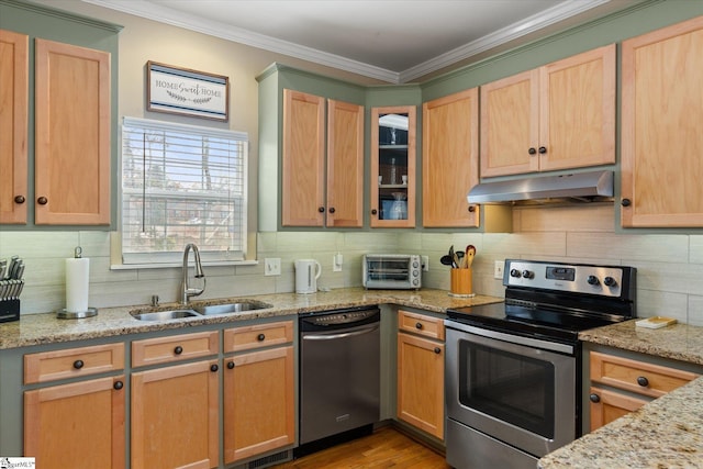 kitchen featuring sink, ornamental molding, light stone countertops, and appliances with stainless steel finishes