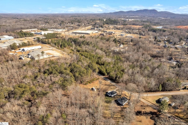 birds eye view of property featuring a mountain view