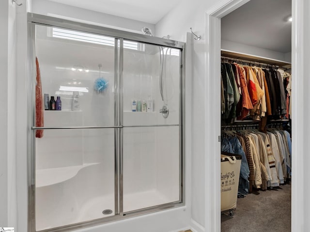 bathroom featuring a shower with shower door