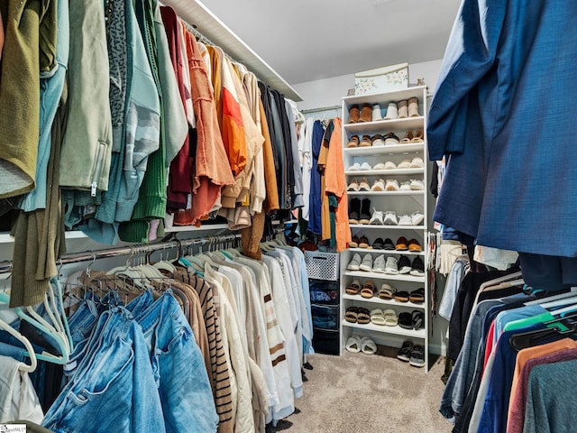 spacious closet with light colored carpet