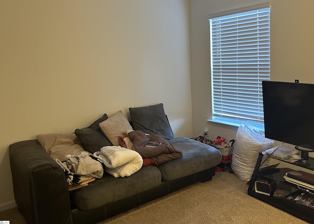 bedroom with multiple windows and carpet floors