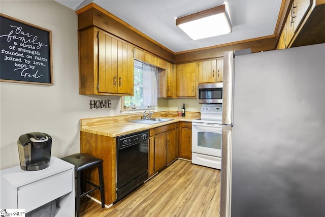 kitchen featuring sink, light hardwood / wood-style floors, and appliances with stainless steel finishes