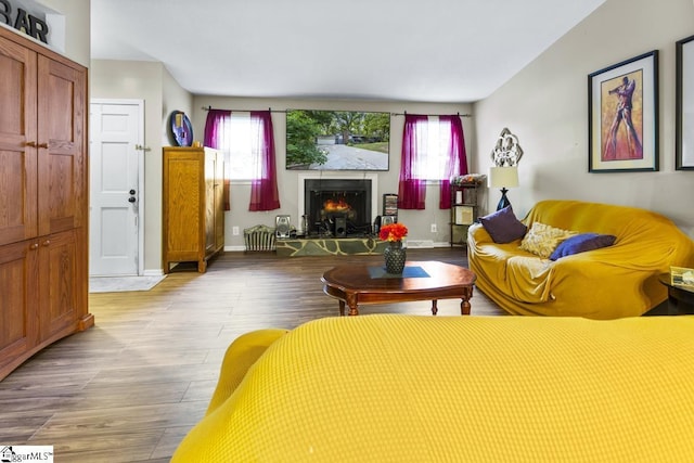 living room featuring light hardwood / wood-style floors