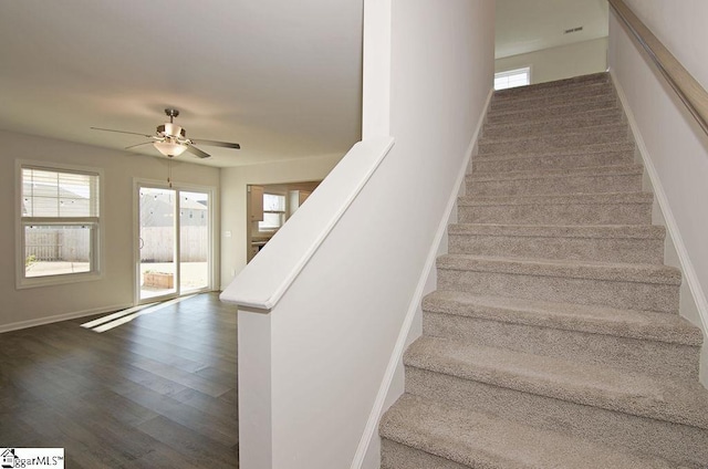 staircase featuring ceiling fan and wood-type flooring