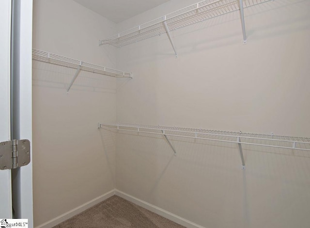 spacious closet with carpet