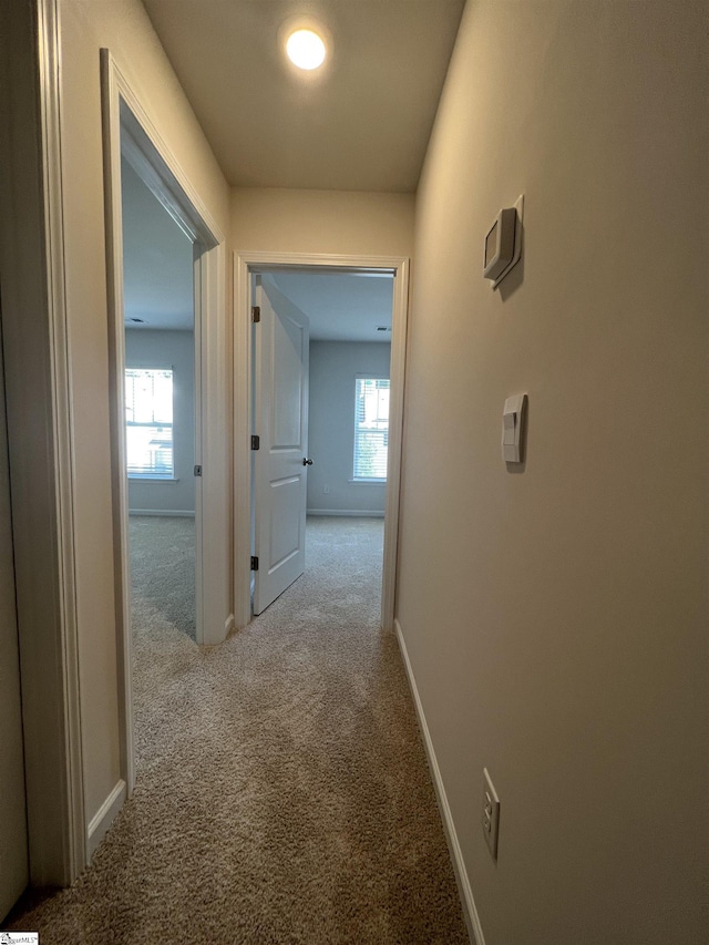 hallway with light carpet