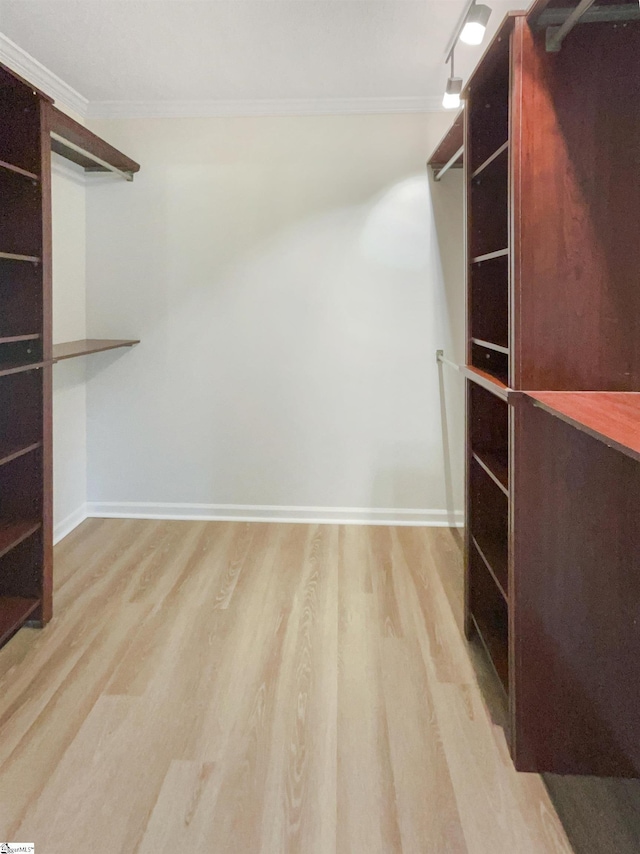 walk in closet with light hardwood / wood-style floors