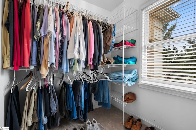 walk in closet with carpet flooring