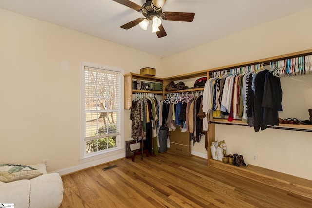 walk in closet featuring ceiling fan and hardwood / wood-style floors