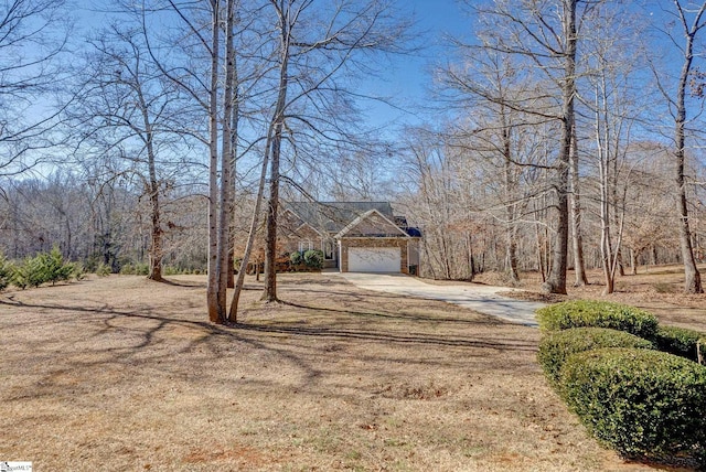 view of yard with a garage