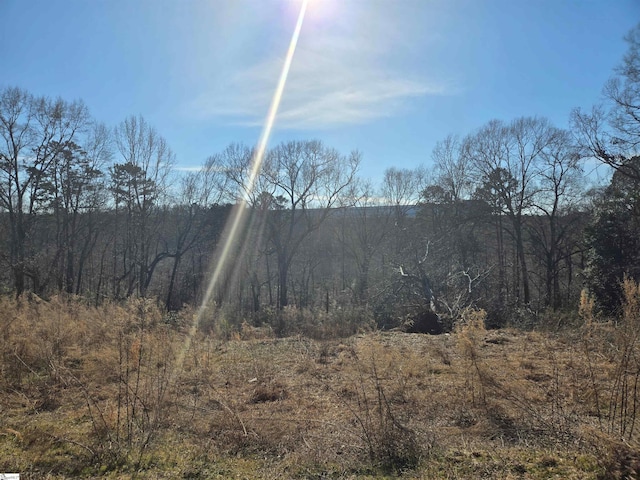 00 Skyline Rd, Greer SC, 29651 land for sale