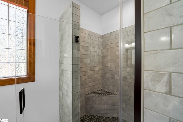 bathroom featuring a shower with shower door