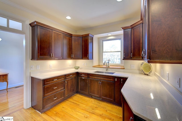 kitchen featuring ornamental molding, sink, and light wood-type flooring