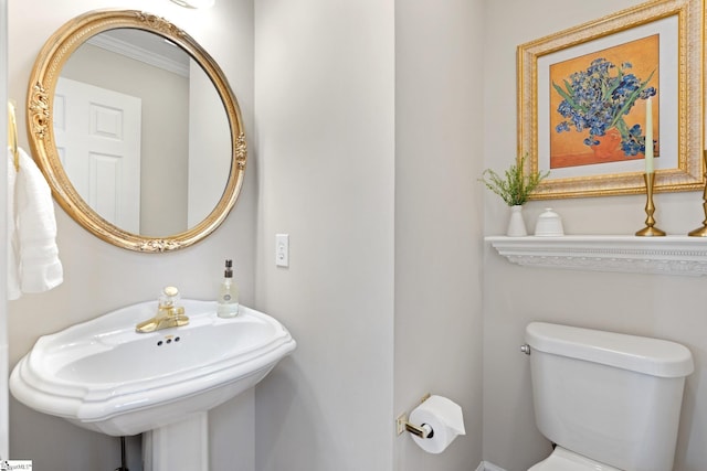 bathroom featuring sink, ornamental molding, and toilet