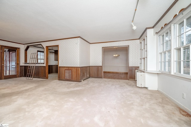 empty room with light colored carpet, a textured ceiling, and wood walls