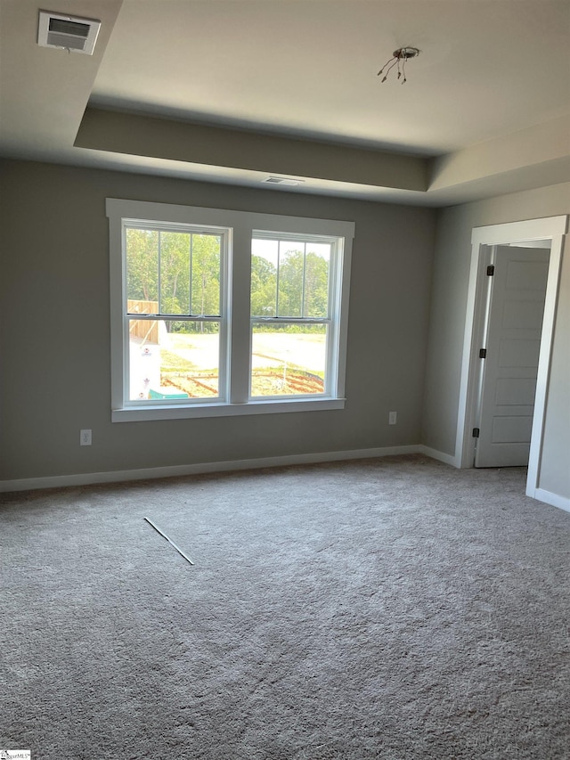 carpeted spare room with a raised ceiling