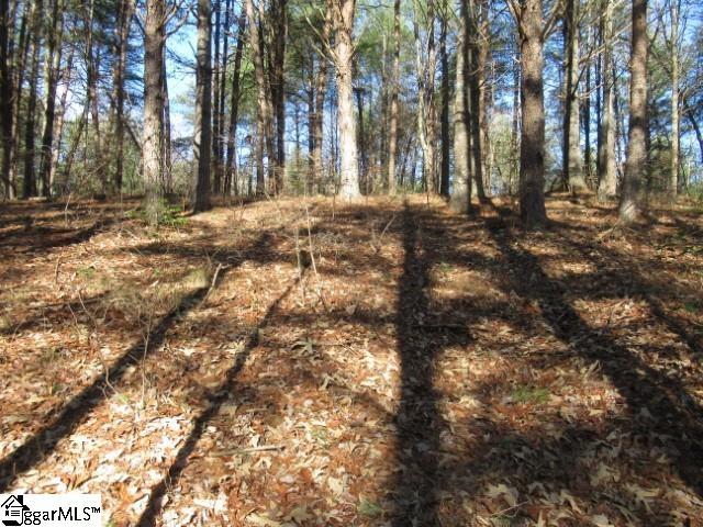 0 Sweet Shrub Ct Lot 10Sweet, Shrub Court, Sunset SC, 29685 land for sale