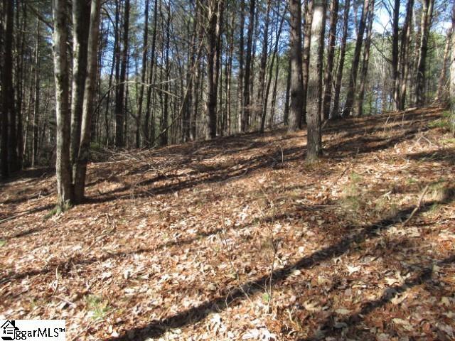 Listing photo 2 for 0 Sweet Shrub Ct Lot 10Sweet, Shrub Court, Sunset SC 29685