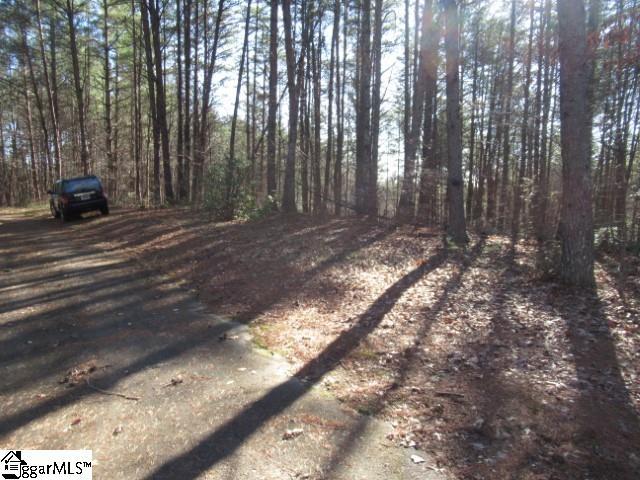 Listing photo 3 for 0 Sweet Shrub Ct Lot 10Sweet, Shrub Court, Sunset SC 29685